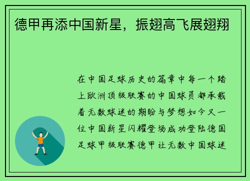 德甲再添中国新星，振翅高飞展翅翔